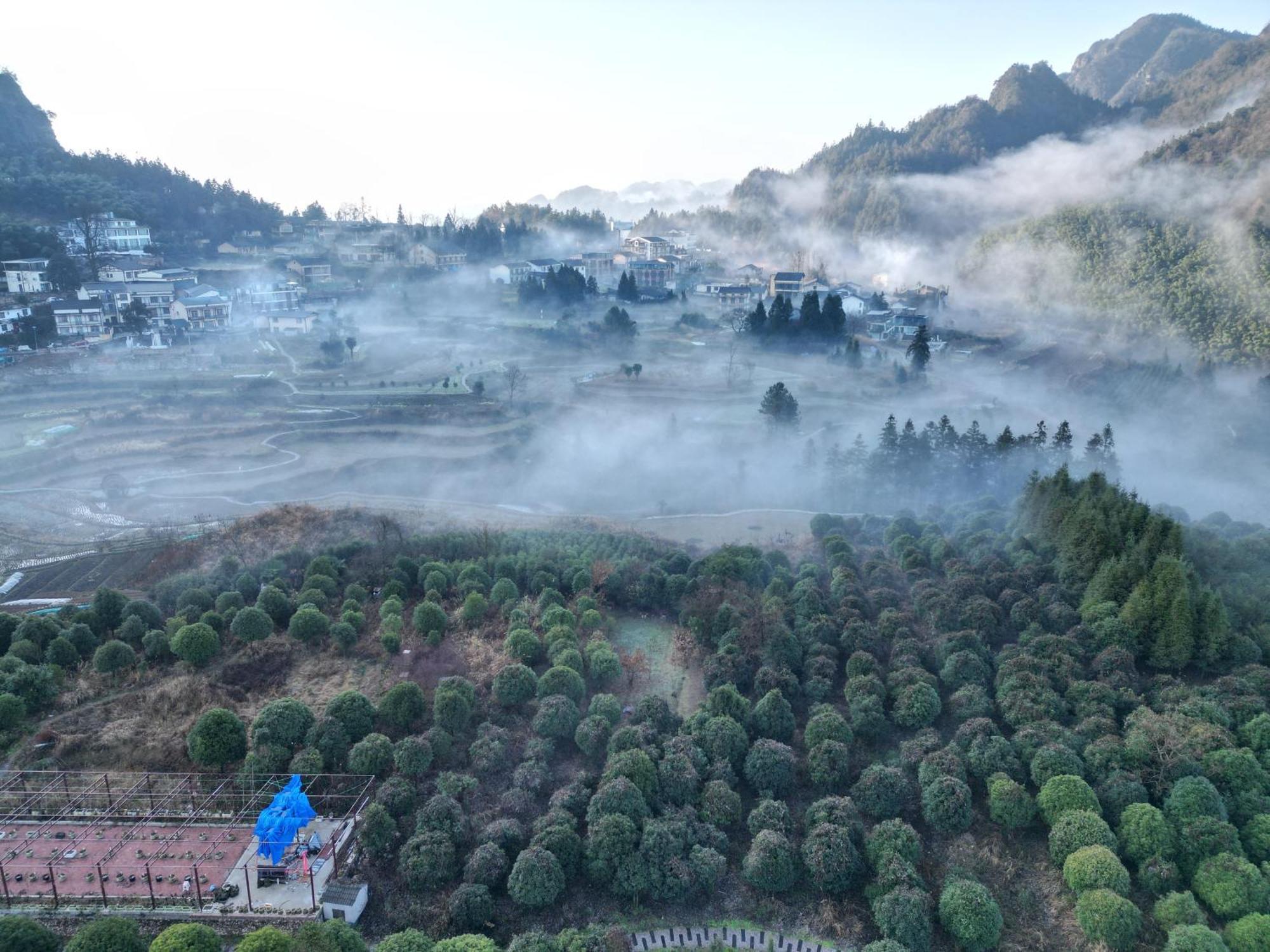 Hilltop House Resort จางเจียเจี้ย ภายนอก รูปภาพ