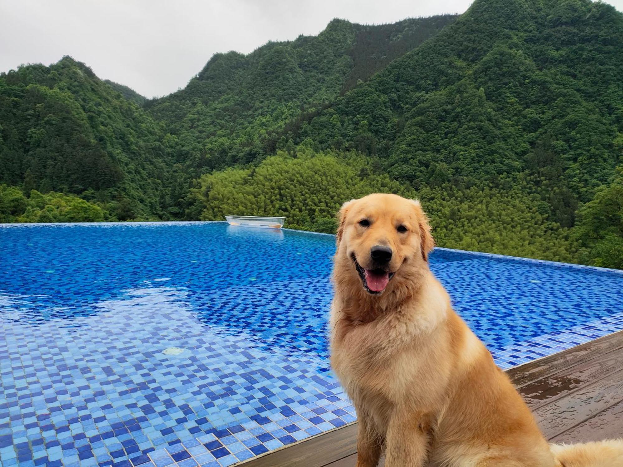 Hilltop House Resort จางเจียเจี้ย ภายนอก รูปภาพ